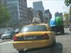 A Truck carying .. a Turtle !!